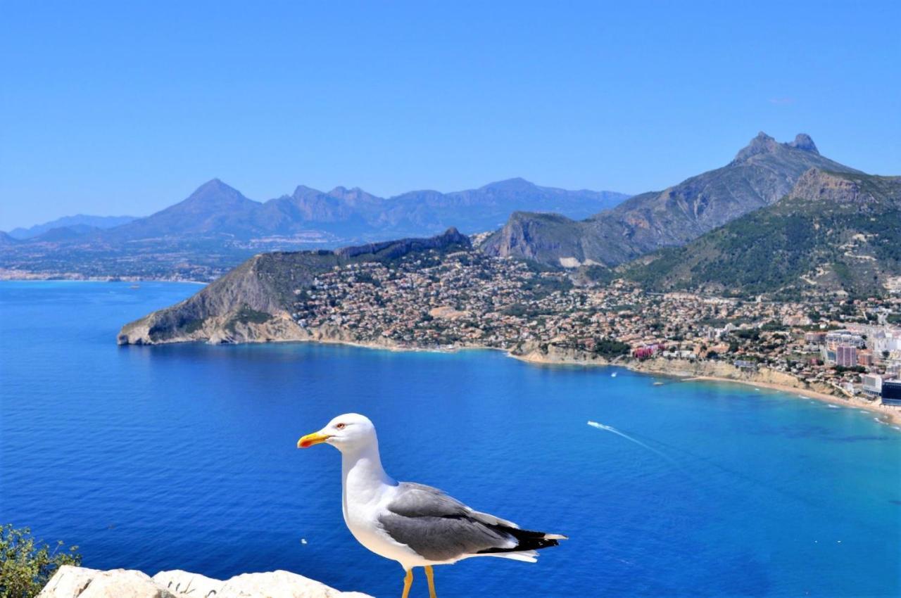 Amuchosol Villa Calp Dış mekan fotoğraf